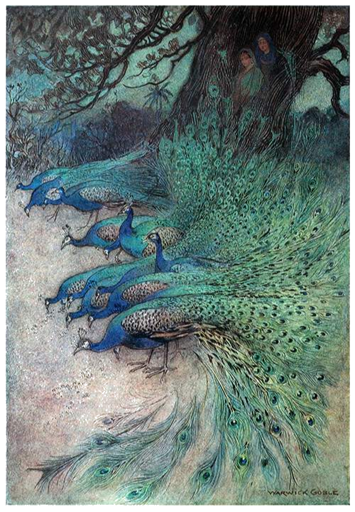 an old illustration of a swarm of peacocks